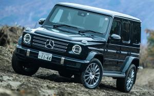 Mercedes-Benz G350 d 2019 года (JP)